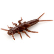 Stonefly 0.75